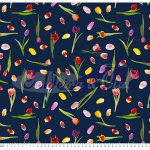 Tulipa Ballade cor 01 (Est. Digital) 