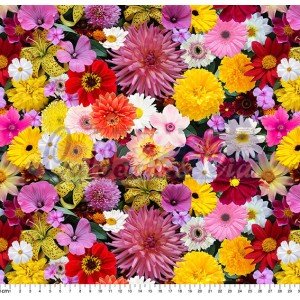 Melissa cor 01 (Est. Digital) 