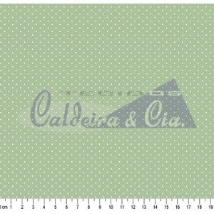 Poá Cor - 70 (Verde Nude)