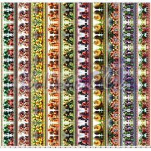 Barrado Frutas II Cor 01 - (Est. Digital 3D) 