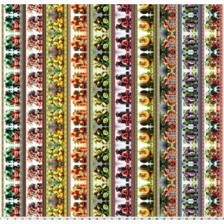 Barrado Frutas II Cor 01 - (Est. Digital 3D) 