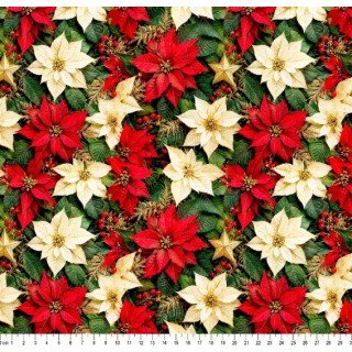 Natal III cor - 02 (Est. Digital)