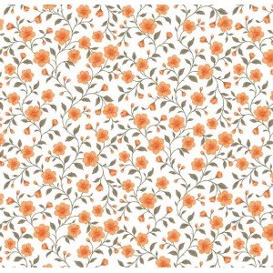 Florença cor 01 (Laranja)