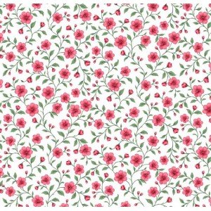 Florença cor 04 (Rosa/Verde)