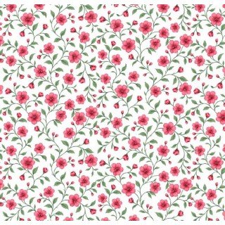 Florença cor 04 (Rosa/Verde)