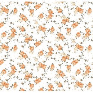 Siena cor 01 (Laranja)