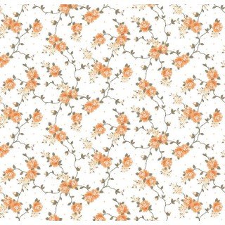 Siena cor 01 (Laranja)