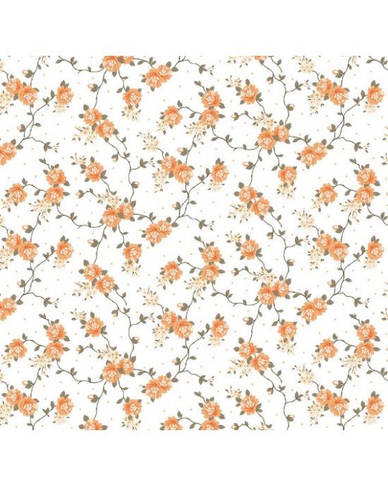 Siena cor 01 (Laranja)