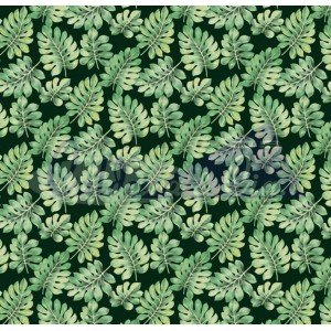 Costela de Adão cor 01 (Verde com Preto) Costela de Adão cor 01 (Verde com Preto)