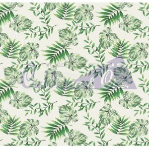 Eva cor 01 (Verde) Eva cor 01 (Verde)