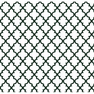 Ana cor - 14 (Branco com Preto)