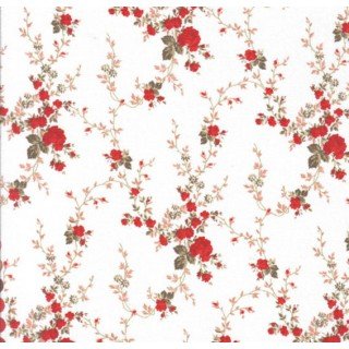 Sarah cor - 55 (Vermelho)