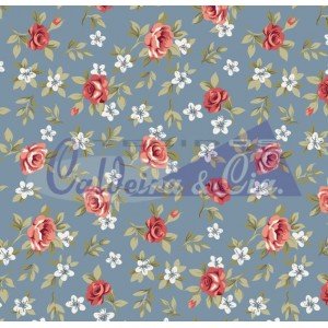 Lúcia cor - 14 (Jeans)