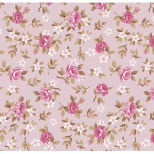 Lúcia cor - 18 (Rosa) Lúcia cor - 18 (Rosa)