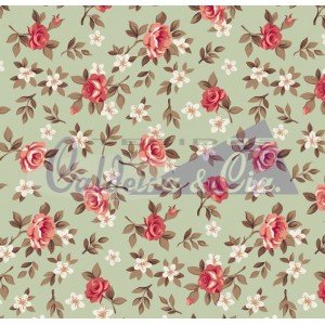 Lúcia cor - 06 (Verde com Coral)