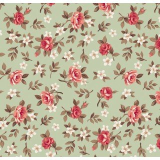 Lúcia cor - 06 (Verde com Coral)